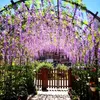 EDIBAZZAR | 12 pezzi Glicine per ghirlanda fiori pendenti Anteprima dell’immagine prodotto 14