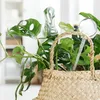 Kulki nawadniające Relaxdays, zestaw 6 sztuk, kulki Podgląd zdjęcia produktu 3