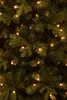 Black Box Trees Harma Kerstboom met LED Verlichting en Productafbeelding-voorbeeld 11