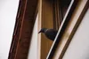 BRADAS Corbeau - épouvantail à oiseaux et rongeurs Voir les images du produit 6