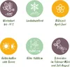 GreenboutiQ - Blauregen Pflanze Winterhart - Wisteria Produktbild-Vorschau 6