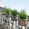 Four potted plants are displayed on a balcony railing with a city skyline in the background. Produktbild-Vorschau