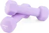 Two purple dumbbells are placed on a white background. Náhled obrázku produktu