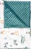 Balloon Travel & Emerald Minky 5-teiliges Set Comfort Produktbild-Vorschau 7