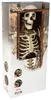 Figurine d'Halloween Squelette de Luxe 160cm Voir les images du produit 7