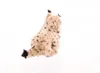 WWF peluche lince (25 cm) peluche realistico peluche Anteprima dell’immagine prodotto 4