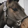 Copricapo Kentucky Horsewear per cavezza in pelle Anatomic Anteprima dell’immagine prodotto 2