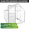 BRAST Gewächshaus Aluminium mit Fundament | 250x190x195cm Produktbild-Vorschau 9