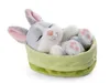 grau 12cm, Sleeping Pets,, NICI Produktbild-Vorschau 6