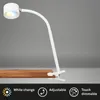 Stolní lampa LED Briloner Tari, stmívatelná, dotyková, Náhled obrázku produktu 2