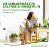 MoriVeda Ashwagandha Tabletki 1000mg, 100% naturalne, Podgląd zdjęcia produktu 5