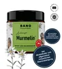 Murmelin Sport- und Gelenkssalbe 100ml Produktbild-Vorschau 1
