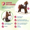 DEUBA® Cavallo Peluche a Dondolo in Legno con Suoni Animale Anteprima dell’immagine prodotto 3