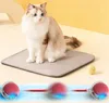A cat sitting on a mat with interactive toys in the foreground. Náhled obrázku produktu