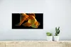 MuchoWow® Poster Goldfisch - Tiere - Schwarz 40x20 cm - Produktbild-Vorschau 5