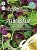 Pflücksalat Fitness Mix/Babyleaf Mix | Pflücksalatsamen von Produktbild-Vorschau 3