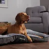 A dog lying on a dog bed in a living room. Anteprima dell’immagine prodotto