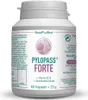 SinoPlaSan Pylopass forte Kapseln, 60 St. Kapseln Produktbild-Vorschau 2