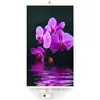 A close-up of a purple orchid with its reflection in water against a dark background. Produktbild-Vorschau