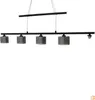 LED závesné svietidlo 5x4W HYDRA 2209-18 Paul Neuhaus Náhľad obrázku produktu 10