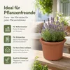 Pflanztopf Fiona Terrakotta Ø 20cm - Frostsicher & Produktbild-Vorschau 8
