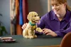 LEGO® Icons 11384 Golden Retriever Welpe Produktbild-Vorschau 23