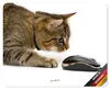 younikat Mauspad Katzen I 24 x 19 cm I Mousepad in Produktbild-Vorschau 1