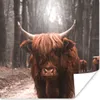 MuchoWow® Poster Schottischer Hochländer - Wald - Kuh - Produktbild-Vorschau 1