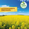Solabiol  Spinnmilben- & Schädlingsfrei - 250 ml Produktbild-Vorschau 8