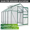 BRAST Gewächshaus Aluminium mit Fundament | 250x190x195cm Produktbild-Vorschau 9