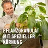 COMPOGRANUPLANT® INDOOR Granulés pour plantes 6 litres Voir les images du produit 5
