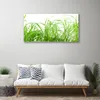 Acrylglasbilder 100x50 Wandbild Druck Gras Natur Produktbild-Vorschau 3