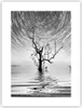 Poster - Poster ohne Rahmen - Schwarzweiß Baum See - 30x40 Produktbild-Vorschau 1
