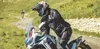 Schuberth E2 Explorer Klapphelm, blau/rot/weiß, L (59) Produktbild-Vorschau 7