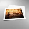Poster - Poster ohne Rahmen - Deer Heidekraut Tier - 50x40 Produktbild-Vorschau 3