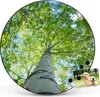 Design Stahlmagnettafel Schwarz Rund 47cm Zwischen Bäumen 5 Produktbild-Vorschau 7