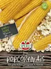 SPERLI Popkornmaissamen Nana F1 Zea mays 30 Pflanzen Produktbild-Vorschau 3