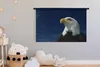 MuchoWow® Wandteppich Wandbehang Ein Weißkopfseeadler Produktbild-Vorschau 3