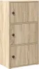 A three-door cabinet with a wood grain finish. Podgląd zdjęcia produktu