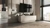 Loft TV-Schrank TV-Lowboard Enjoy Zweitürig Modern Lindner Produktbild-Vorschau 3