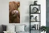 MuchoWow® Poster Schottischer Highlander - Braun - Tiere Produktbild-Vorschau 4