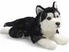 Carl Dick Husky, czarny, leżący ok. 32 cm 2783 Przytulanka, Podgląd zdjęcia produktu 1
