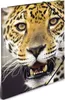 HERMA Sammelmappe A4 Leopard Polypropylen Voir les images du produit 1