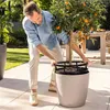 A man is tending to a potted kumquat tree on a patio. Produktbild-Vorschau