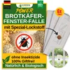 Fenster Brotkäferfalle mit Spezial-Lockstoff – 6x Fallen – Produktbild-Vorschau 1