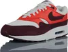 Chaussures Nike Air Max 1 FN6952102 Voir les images du produit 12
