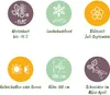 GreenboutiQ - Sträucher - Hibiscus syriacus Tricolour - Produktbild-Vorschau 6