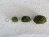 Aquarium Pflanze Mooskugel L 4-7cm Aquariumpflanze Algen Produktbild-Vorschau 1