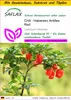 SAFLAX Anzucht Set - Chili - Habanero Antilles Red - Produktbild-Vorschau 1