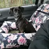 Autostoel voor hond DOGESTE – transportbox en hondenmand Productafbeelding-voorbeeld 7